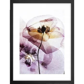 Obraz Obraz plakát v černém rámu do obýváku 30x40 květiny foto plakáty na zeď