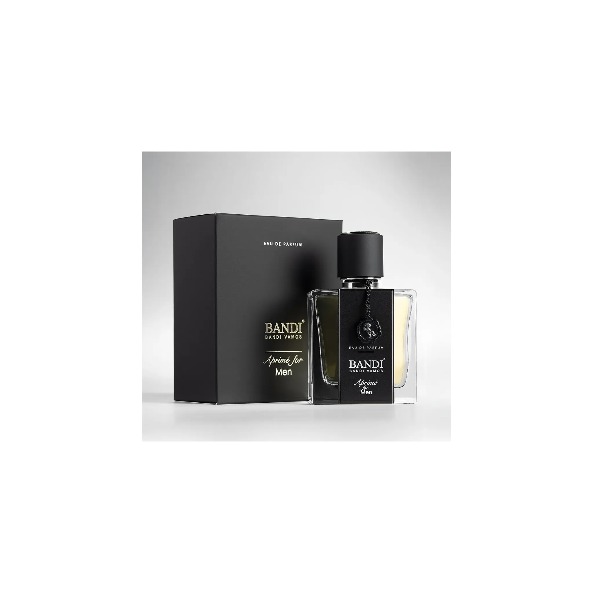 Fotografie 1 - Pánský parfém BANDI Aprimé For Men EDP 100 ml