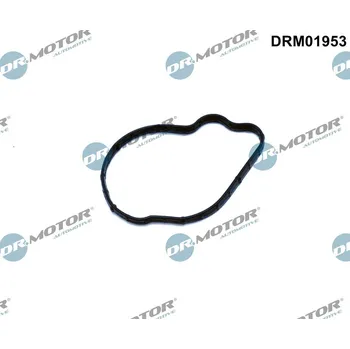 Systém vstřikování Těsnění, vstřikovací čerpadlo Dr.Motor Automotive DRM01953