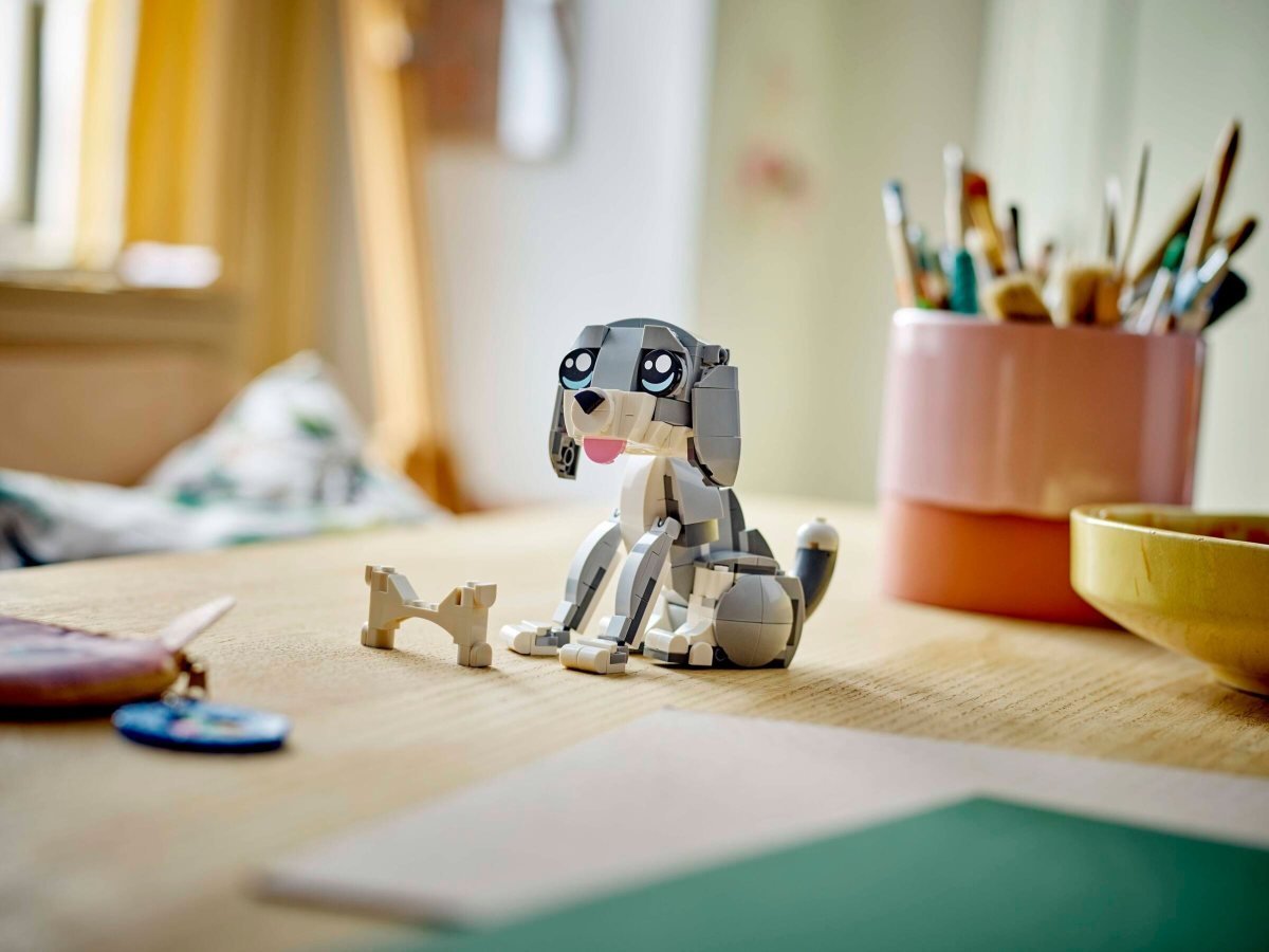 foto Stavebnice LEGO LEGO Creator 3v1 31163 Hravá kočka