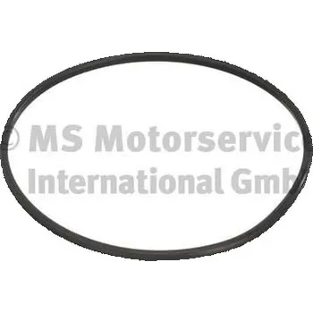 Těsnění, přípojka palivové nádrže PIERBURG 3.32038.02.0