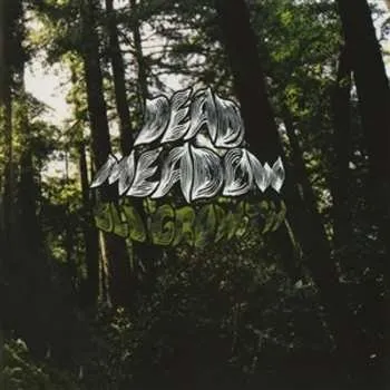 Hudba LP Dead Meadow: Old Growth 2025