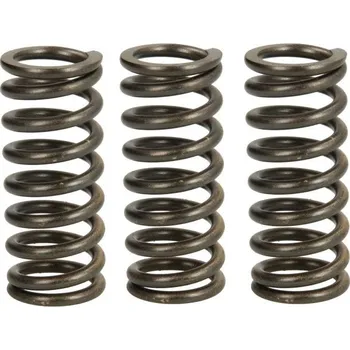 Spojkové pružiny DUCATI 1260 Multistrada Enduro rok 19-20