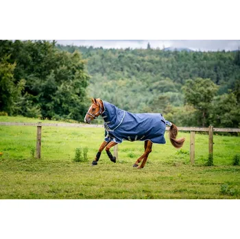 Deka pro koně Deka výběhová Amigo Bravo 12 Plus, s krkem, 250 g, navy/titanium grey & silver Délka zad: 125 cm