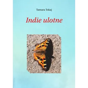 Literární cestopis Indie ulotne - Tokaj Tamara