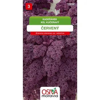 Semeno Kadeřávek červený - Scarlet