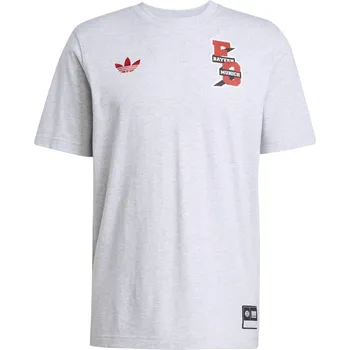 Pánské tričko adidas FC Bayern VRCT Tee Grey Heather S