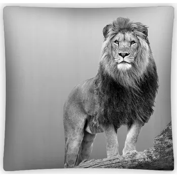 Povlak na polštářek Povlak na polštářek Lev 40x40 cm
