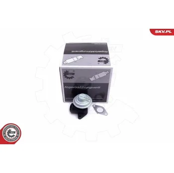 Ventil palivového systému AGR-Ventil ESEN SKV 14SKV205