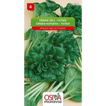 Semeno Osiva Moravia Čínské zelí (Pak Choi) Tatsoi