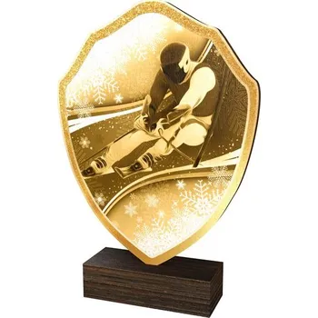 Poháry Bauer Dřevěná plaketa TFRW274 | Sjezdové lyžování