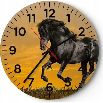 Hodiny Kuchyňské nástěnné hodiny 30x30 Zvířata Moderní skleněné hodiny Obývací pokoj Tiché