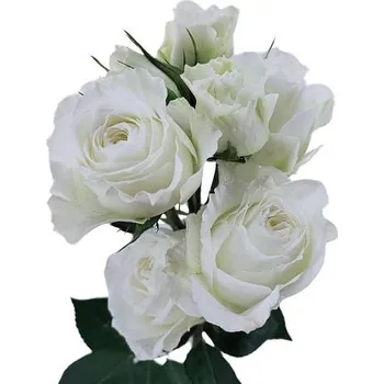 umělá květina Bílá trsová růže