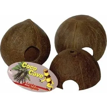 Teraristika Lucky Reptile Coco Cave Celá skořápka cca. 10-14 cm