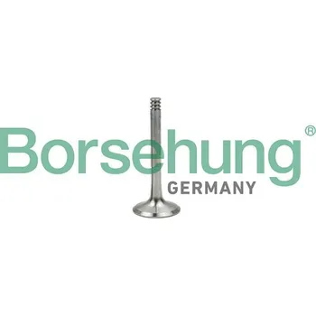 Ventil motoru Výfukový ventil Borsehung B18997