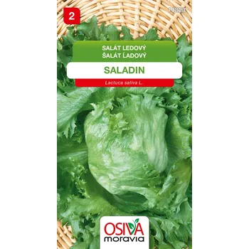 Semeno Salát hlávkový ledový - Saladin