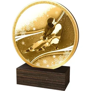 Volný čas Poháry Bauer Dřevěná plaketa TFRW774 | Sjezdové lyžování