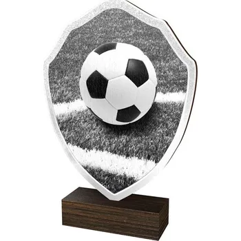Poháry Bauer Dřevěná plaketa TFRW314 | Fotbal