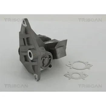 Ventil palivového systému AGR-Ventil TRISCAN 8813 29047