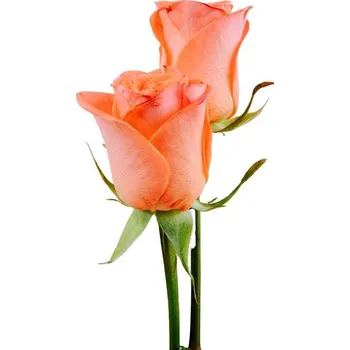umělá květina Lososová růže