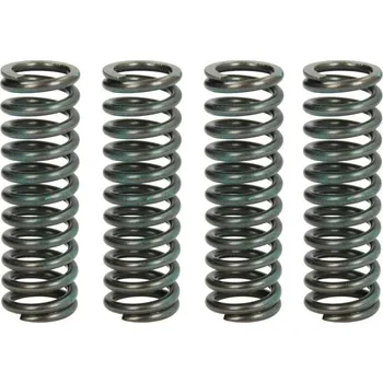 Spojkové pružiny DUCATI 821 Monster/Dark/Stripe rok 16