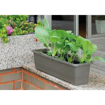 Truhlík Pilný truhlík Bergamot SLIM L