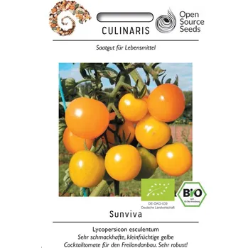 Semeno Rajče tyčkové Sunviva (třešňové, žluté, odolné plísni, BIO)