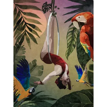 Plakát Plakát, Obraz - Papagan Ve Strapezci