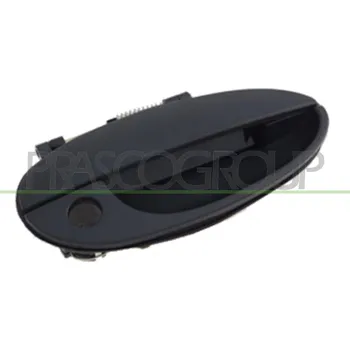 Dveře karosérie Vnější klika dveří AGB 2902Z-42