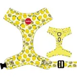 Postroj Reedog LEMON-M