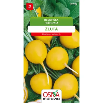 Semeno Ředkvička - žlutá