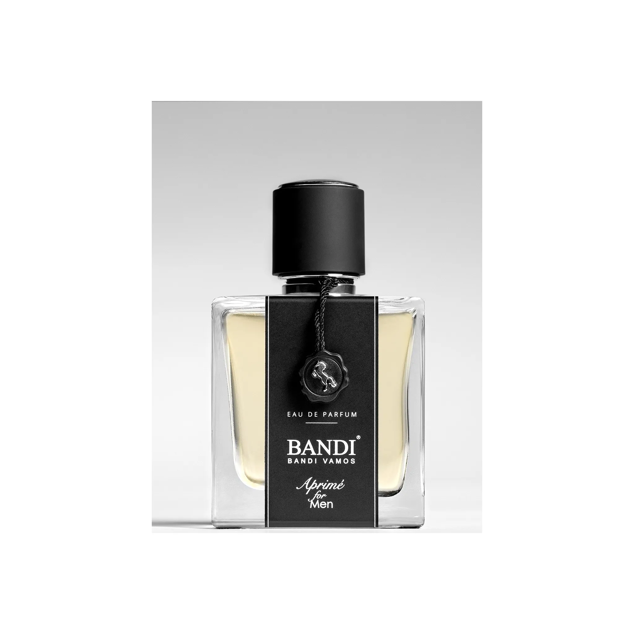 Fotografie 3 - Pánský parfém BANDI Aprimé For Men EDP 100 ml