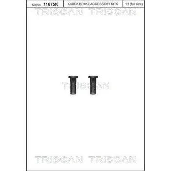 Brzdový kotouč Sada šroubů, brzdový kotouč TRISCAN 8105 116016