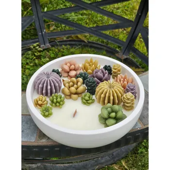 Svíčka Svíčka se sukulenty