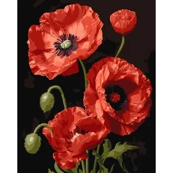 Set školních potřeb Malowanie po numerach - Czerwone maki 40x50cm