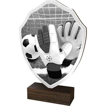 Poháry Bauer Dřevěná plaketa TFRW318 | Fotbal