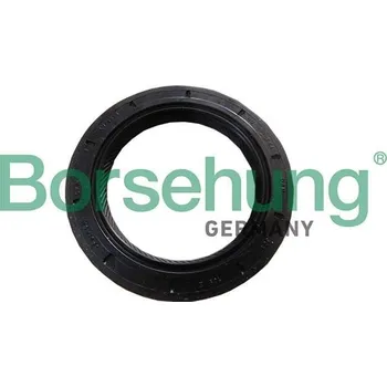 Těsnicí kroužek hřídele, manuální převodovka Borsehung B18791