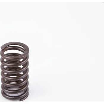 Pružina BOSCH 2 434 619 017