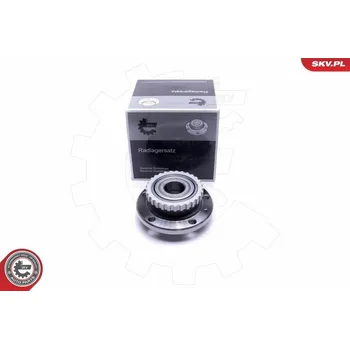 Sada ložisek kol ESEN SKV 29SKV336