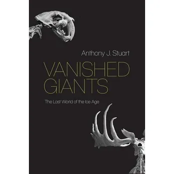 Vanished Giants - Bryk, Anthony S.; Sebring, Penny Bender; Allensworth, Elaine; Luppescu, Stuart; Easton, John Q.