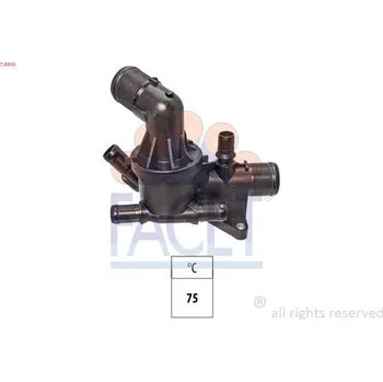 Těsnění motoru Termostat, chladivo FACET 7.8976