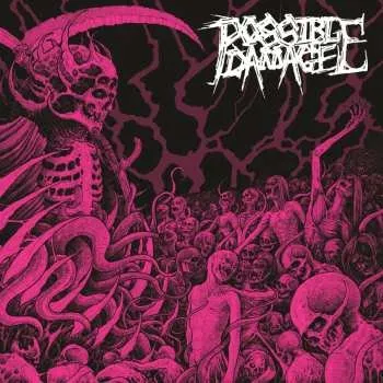 Zahraniční hudba LP Possible Damage: Possible Damage 2024