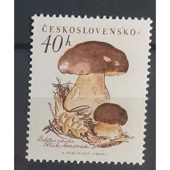 Sběratelství Známka ČSR, 40h, Pof.1019**