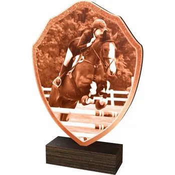 Poháry Bauer Dřevěná plaketa TFRW399 | Jezdectví