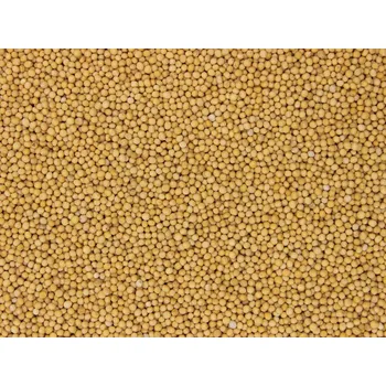 Koření Skýpala Hořčice bílá celá Hmotnost: 5 kg