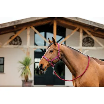 AMIGO Set ohlávky s vodítkem Amigo, mulberry PONY