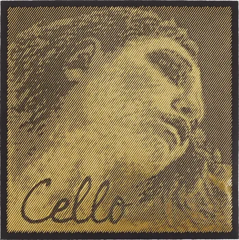 Struna pro kytaru a smyčcový nástroj Pirastro Evah Pirazzi Gold Vcl Set medium + prodloužená záruka 3 roky