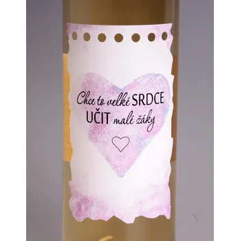 Víno Víno s etiketou - Chce to velké srdce učit malé žáky víno: Cabernet Moravia - červené suché