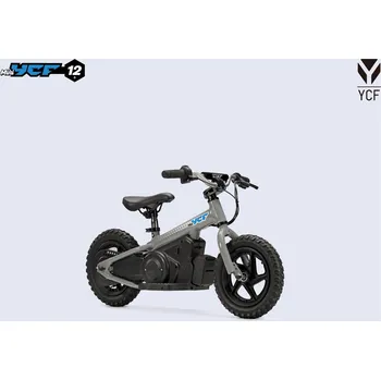 RC model auta MINI YCF 12