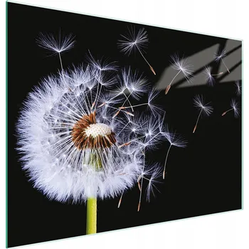 Kuchyňské prkénko Krájecí deska TMK ArtDeko sklo 1 ks